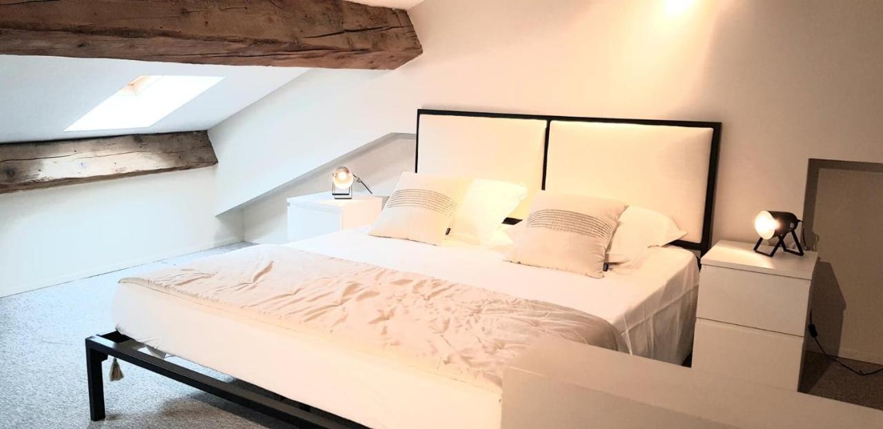 Loft Chic Appartement Carcassonne